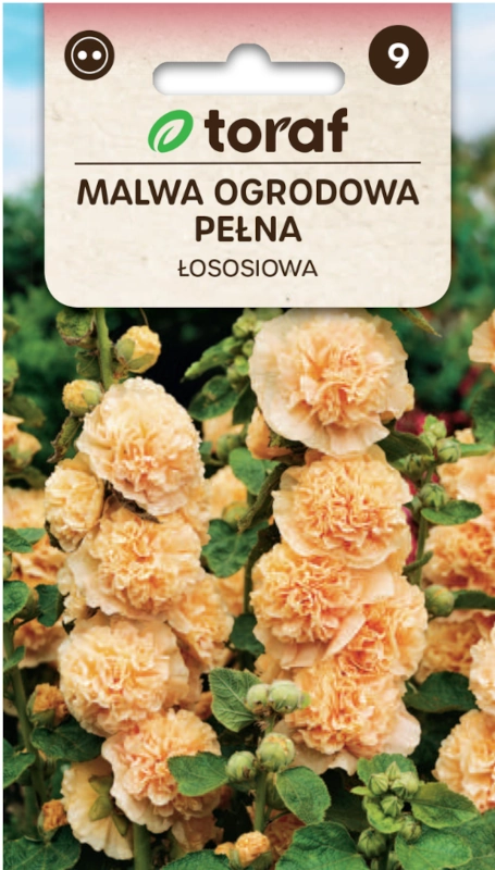 Malwa ogrodowa pełna łososiowa TORAF nasiona sklep rajogrodnika